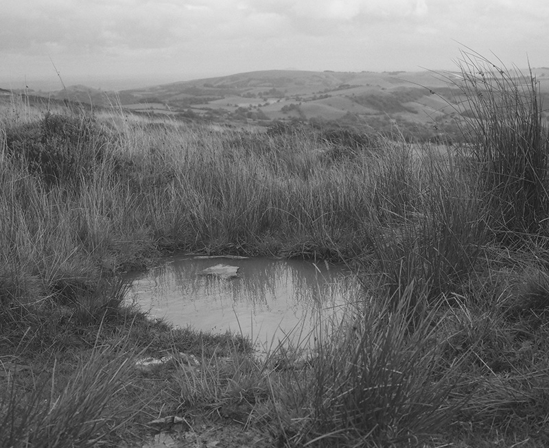A black and white photograph of a large puddle in a landscape of rolling prairie.