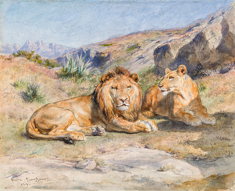lion watercolor