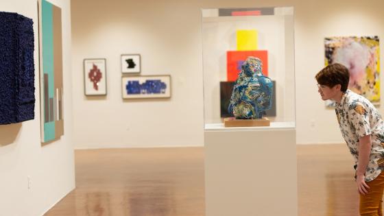 student looking at art in gallery