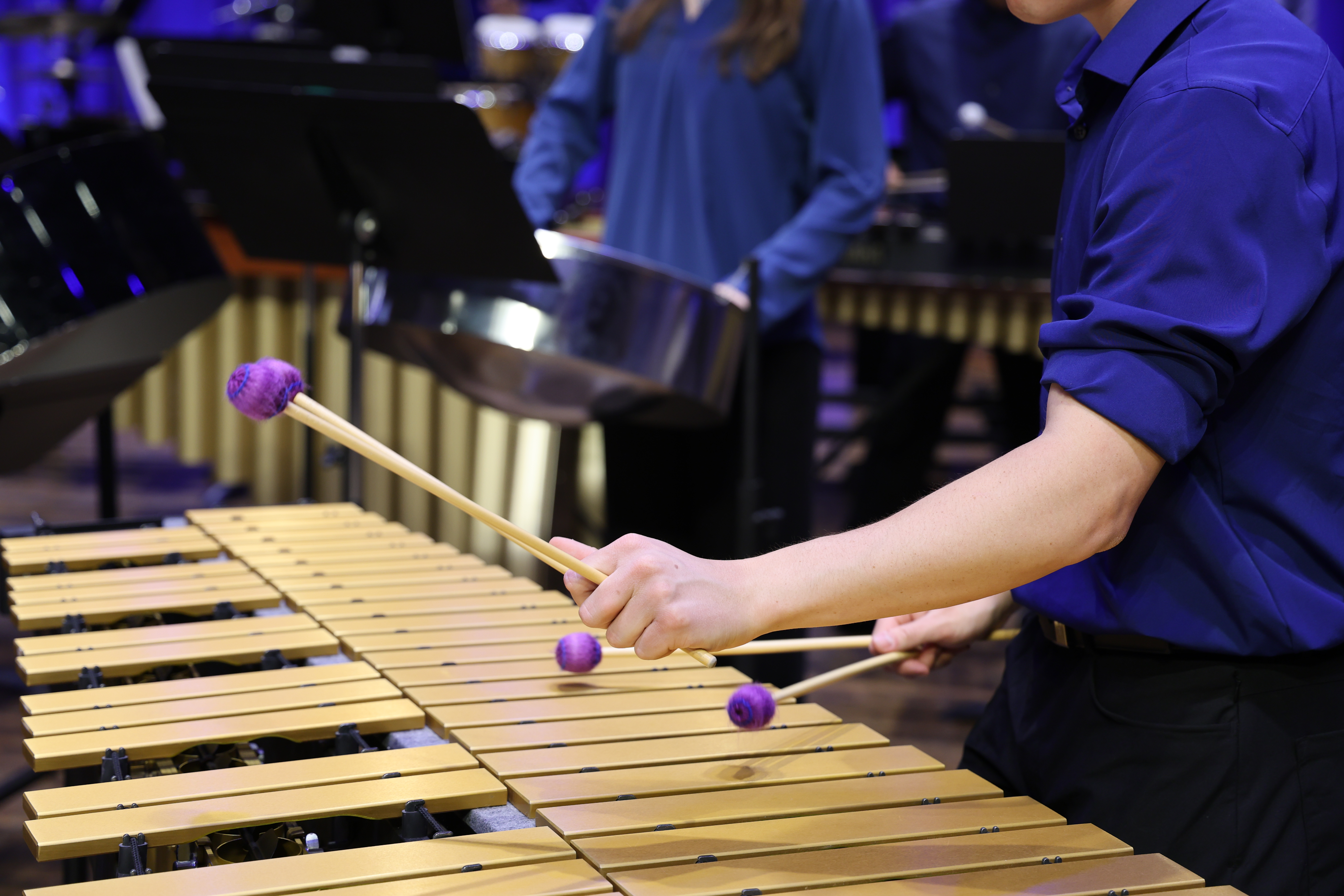 close up of person playing xylophone with purple mallets