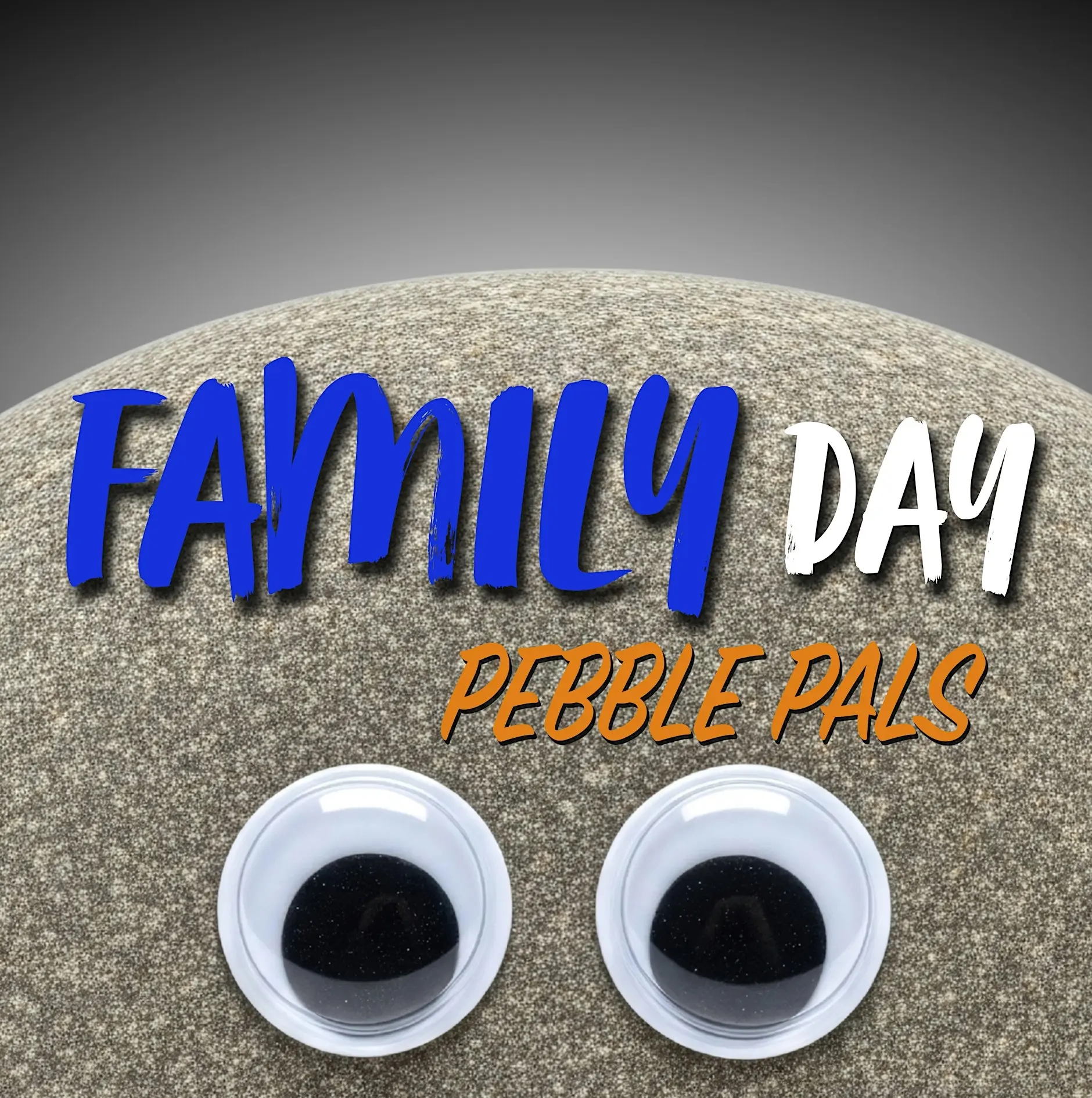 Picture of a pebble with googly eyes and event text overlaid in blue white and yellow