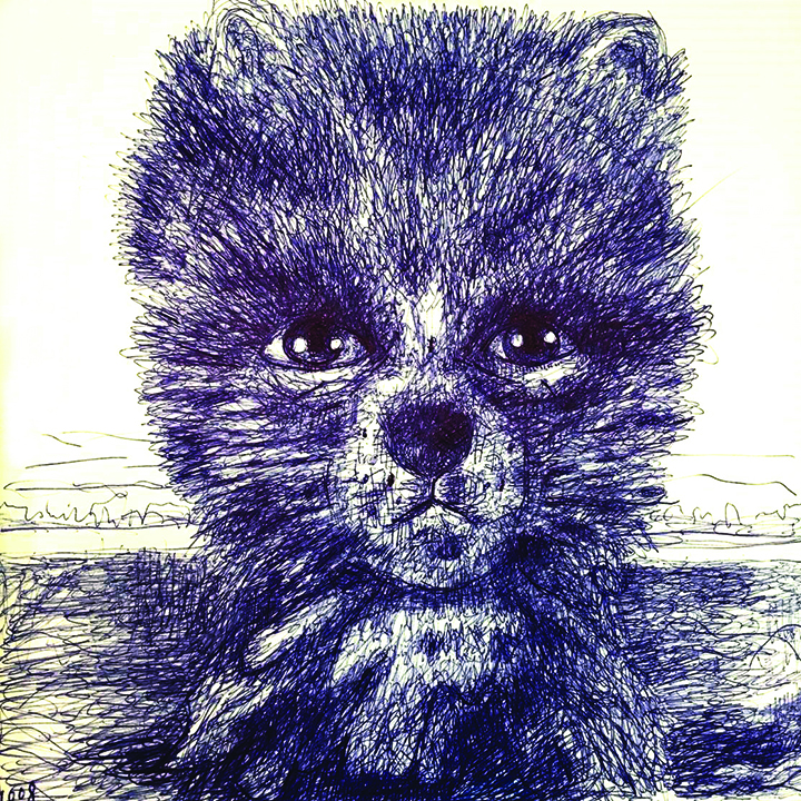 pen drawing of bear