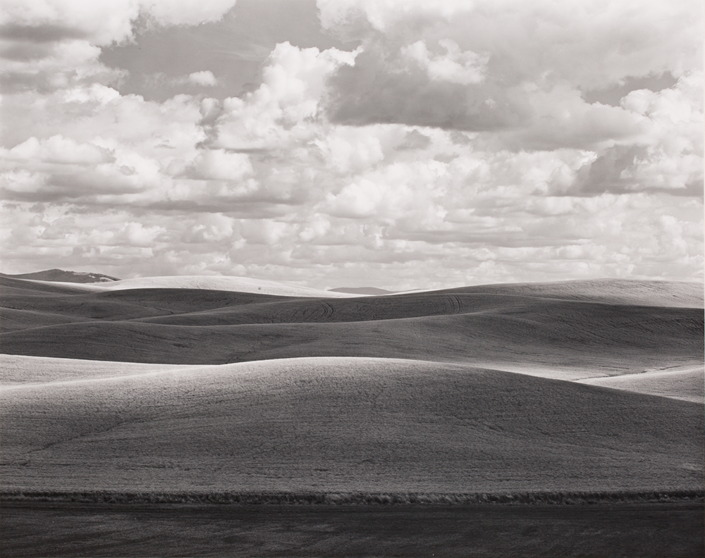 Monochrome photograph of rolling hills