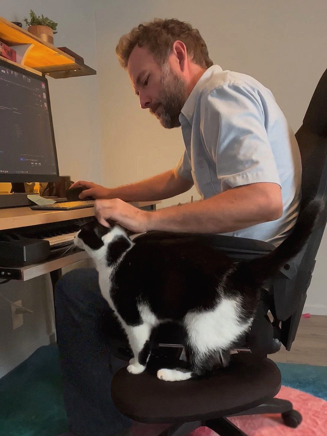 Image of Paul and his cat JoJo in the CritterSitter at his desk.