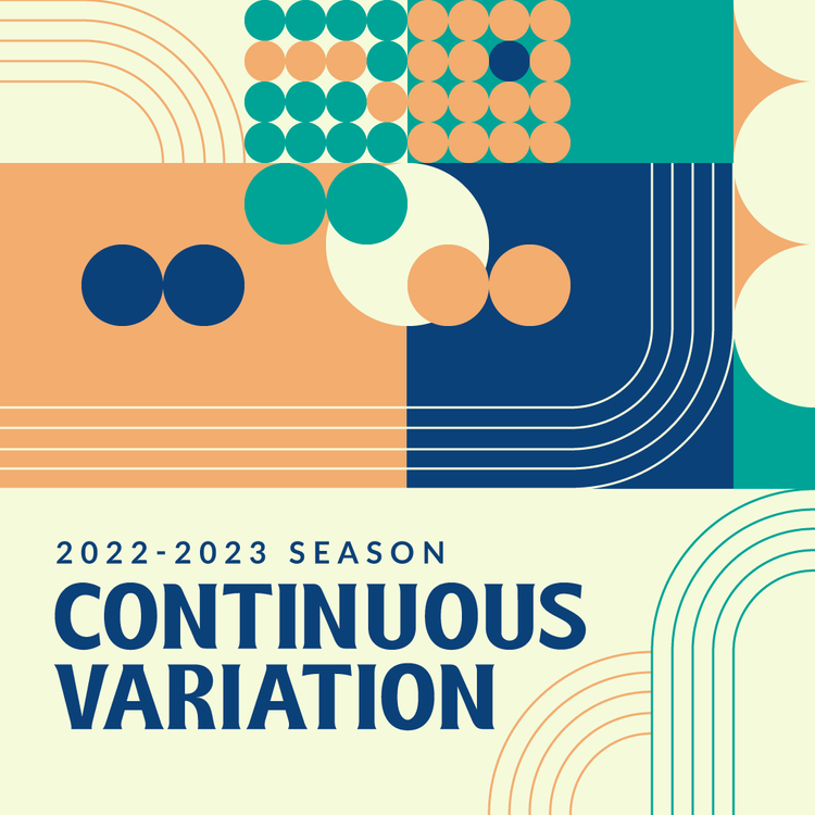 Continuous Variation poster image