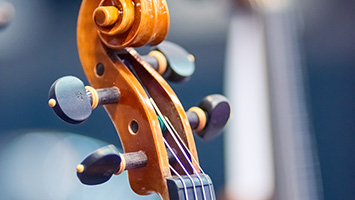 stringed instrument close up