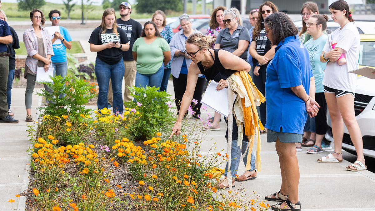 Image of Crystal Gregory bending over a field of marigolds, instructing a group of onlookers during the dye garden demonstration.