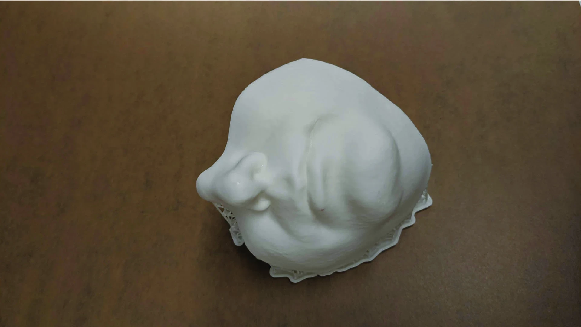 3d fabrication face