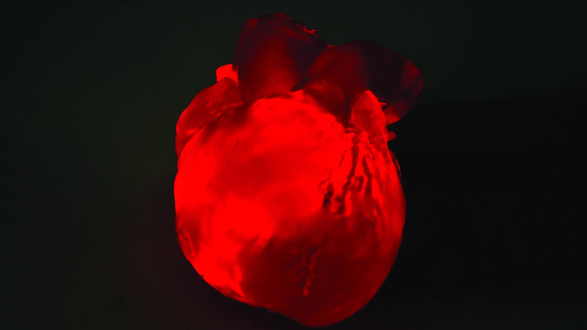 3d fabrication heart