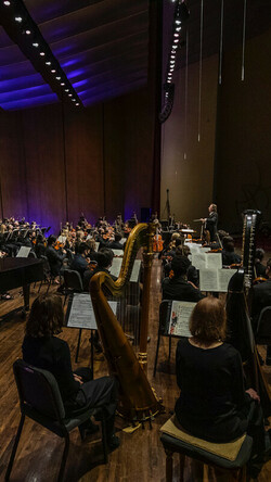Orchestra musicians on stage