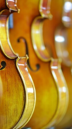 Picture of Violins