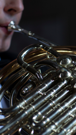 french horn close up