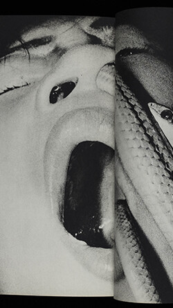 Masatoshi Naito, [a street performer swallowing a snake], in Ken, no. 2 (pp. 22-23), October 1970, magazine, 9 x 7 ½ x 1/2 inches (23 x 18.9 x 1.3 cm). Courtesy of The Museum of Fine Arts, Houston, The Manfred Heiting Book Collection. Photo: Paul Hester, Hester + Hardaway Photographers. 