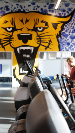 image of students exercising in Alumni Gym with Wildcat mural in background.