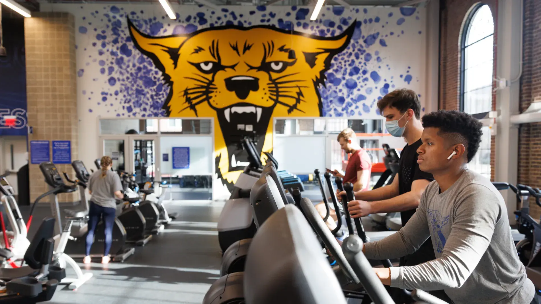Image of students on exercise equipment in the gym, with a large mural of the UK wildcat in the background
