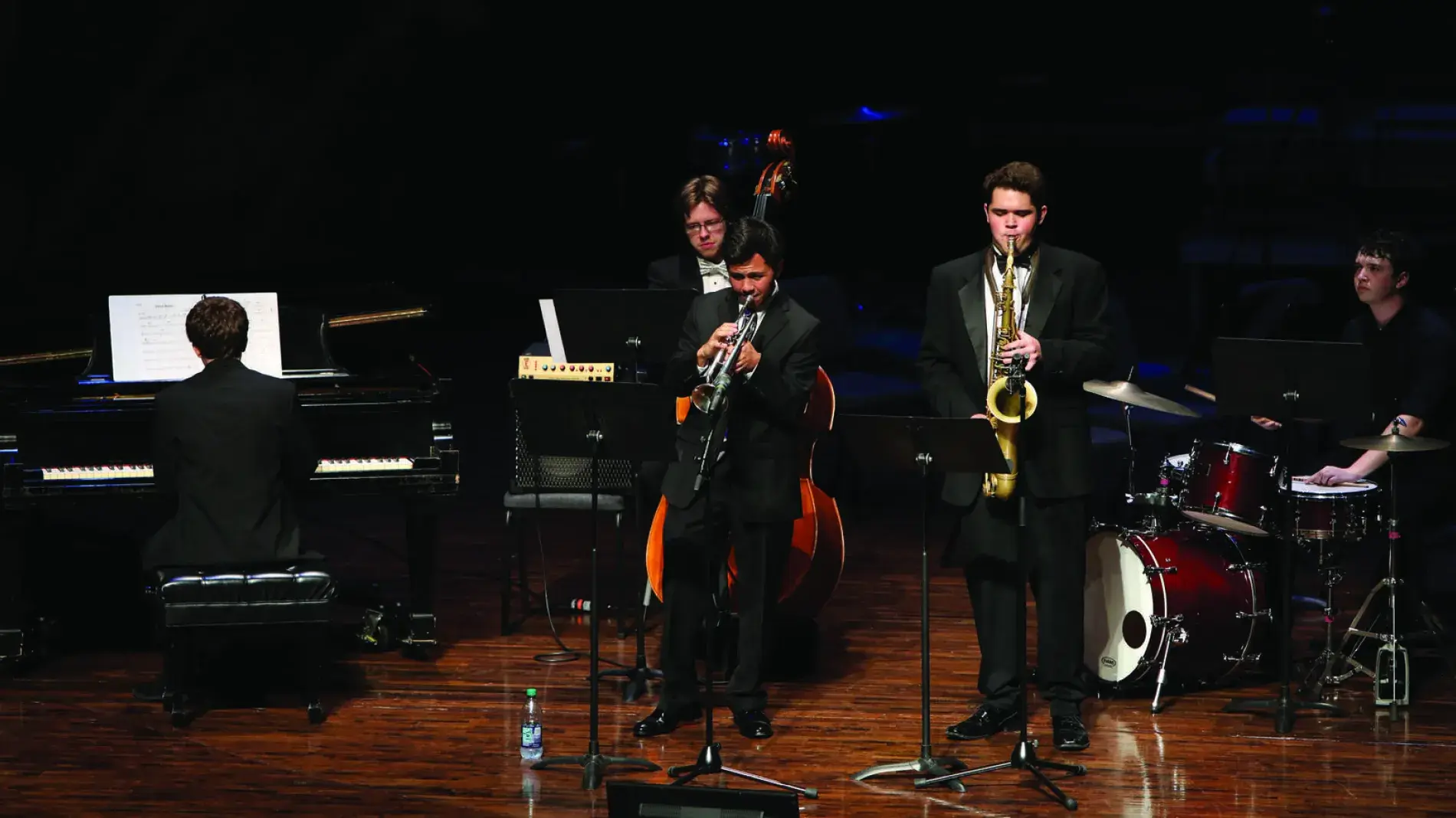 Mega-Sax musicians on stage