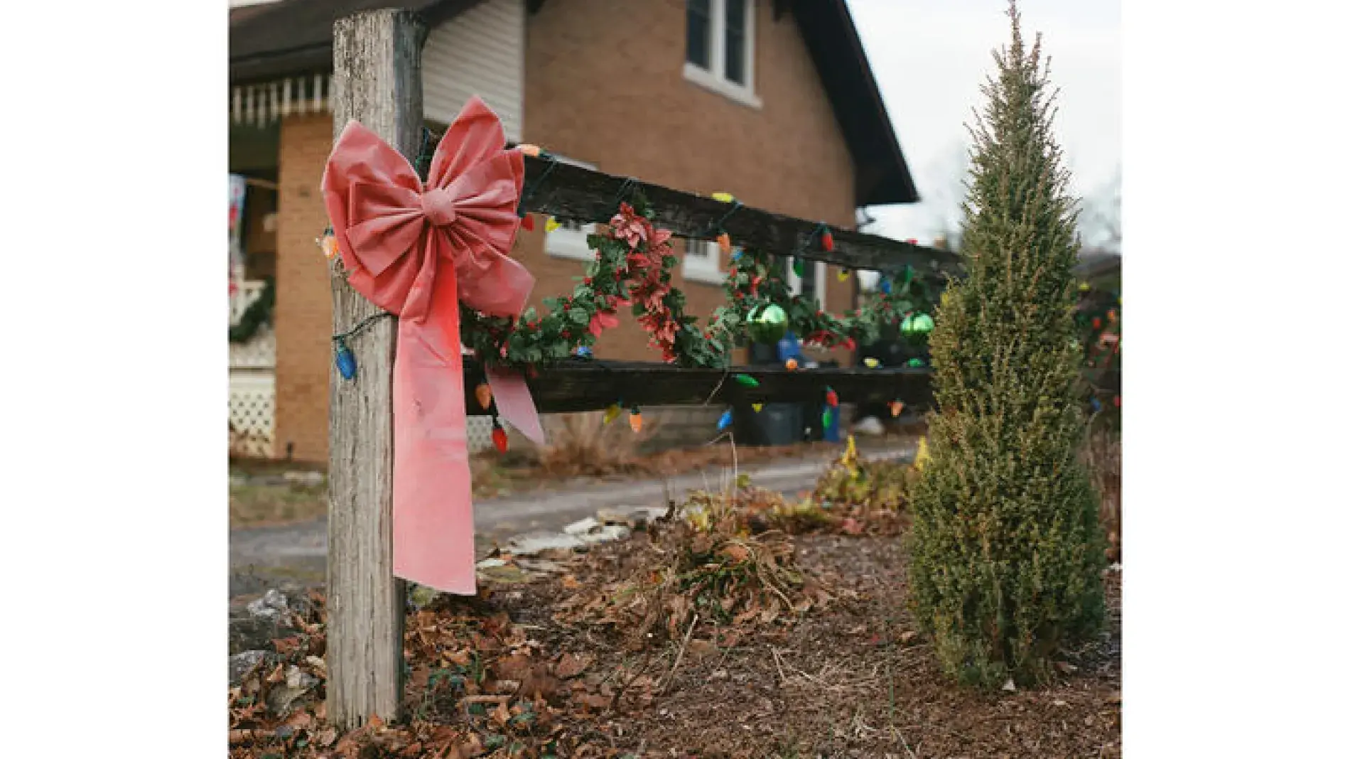 Photograph of a fence with christmas bow and decorations on it.