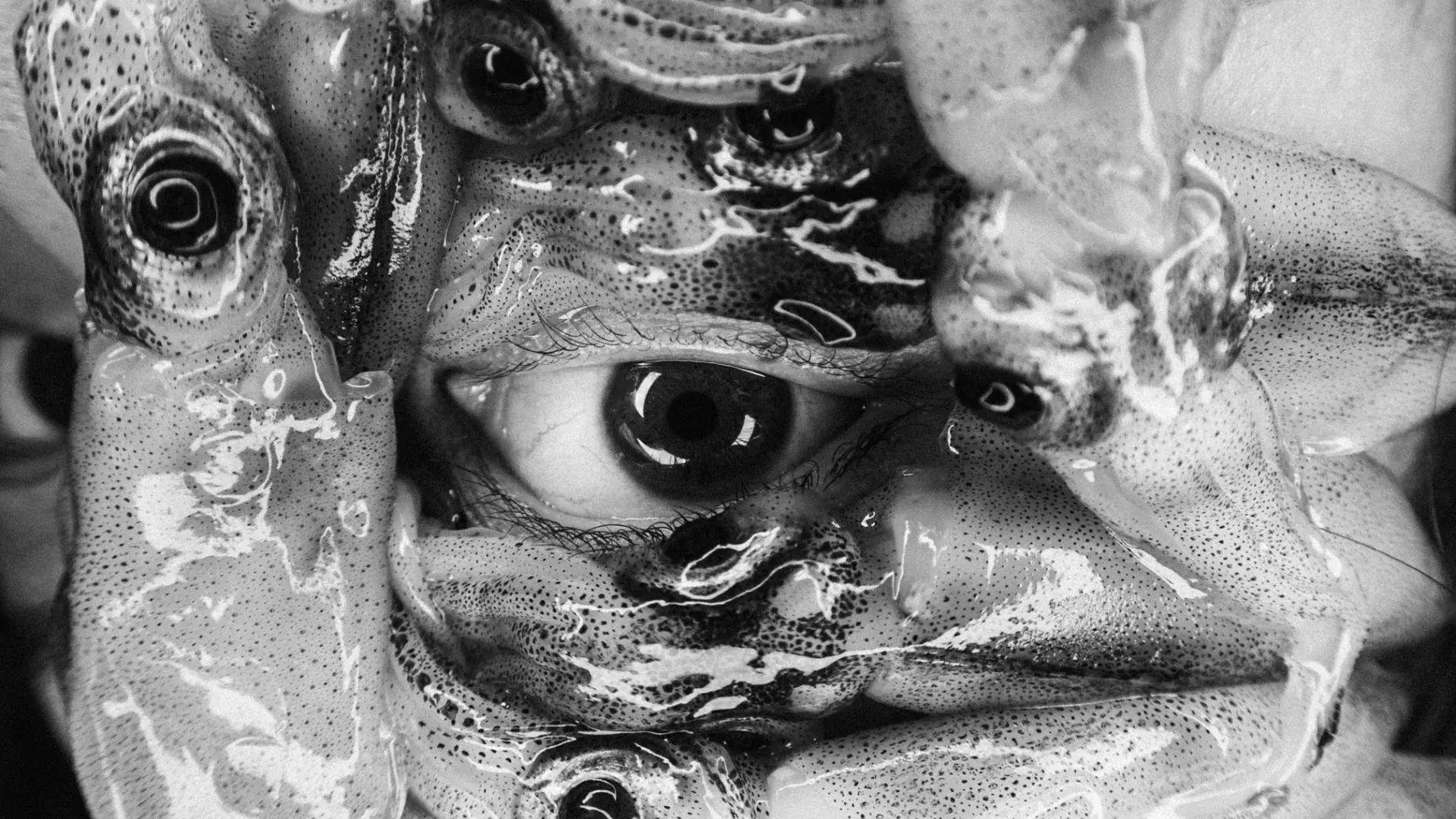 Black and white photo of eyeballs with biological matter around it