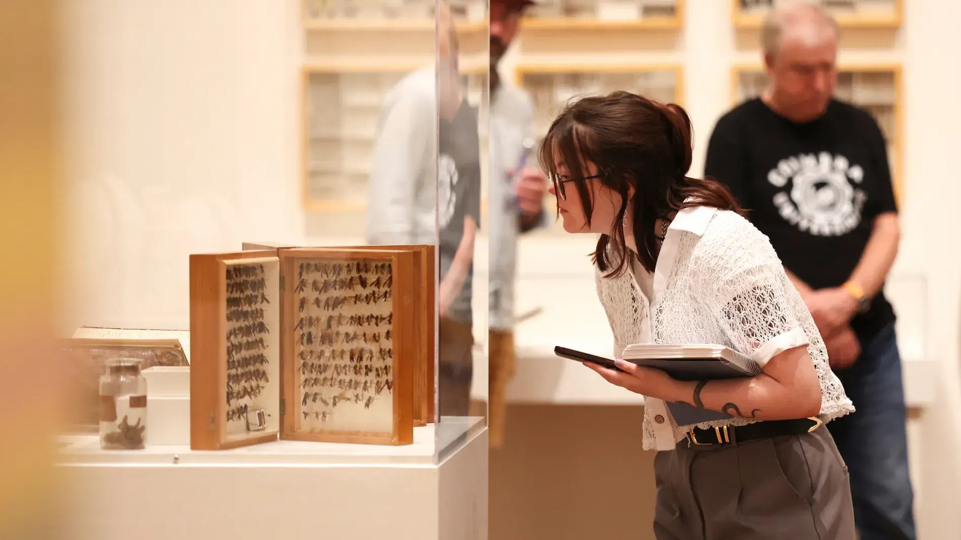 "Visitor examines museum artifact display case."