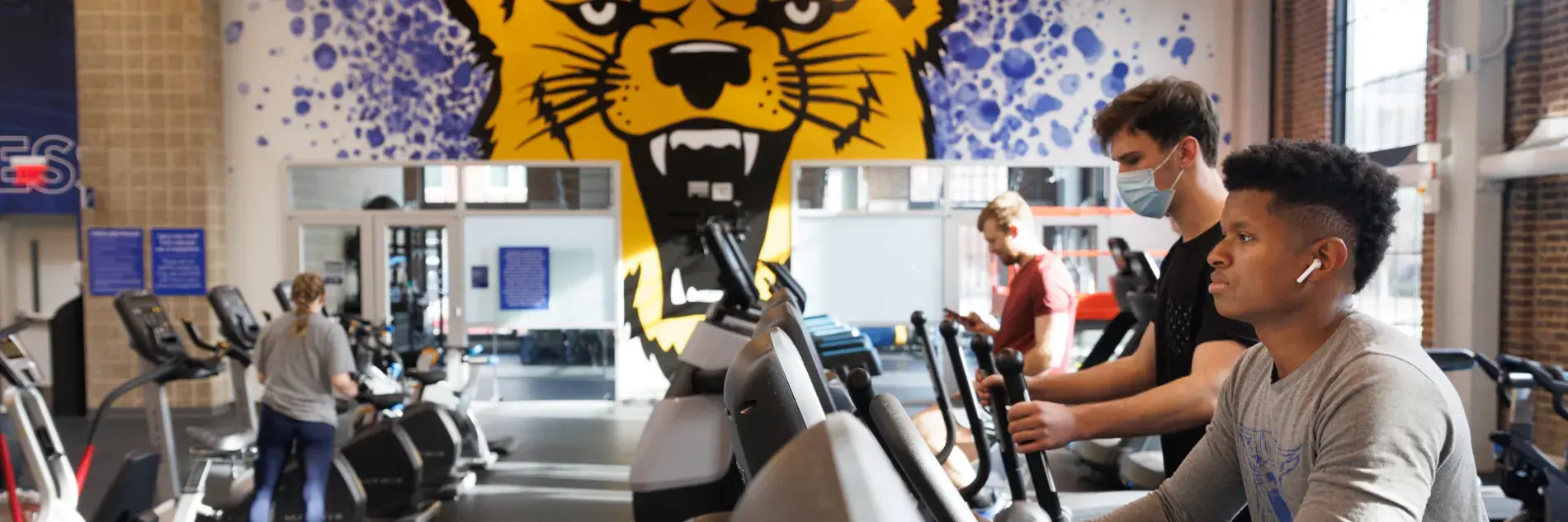 Image of students on exercise equipment in the gym, with a large mural of the UK wildcat in the background