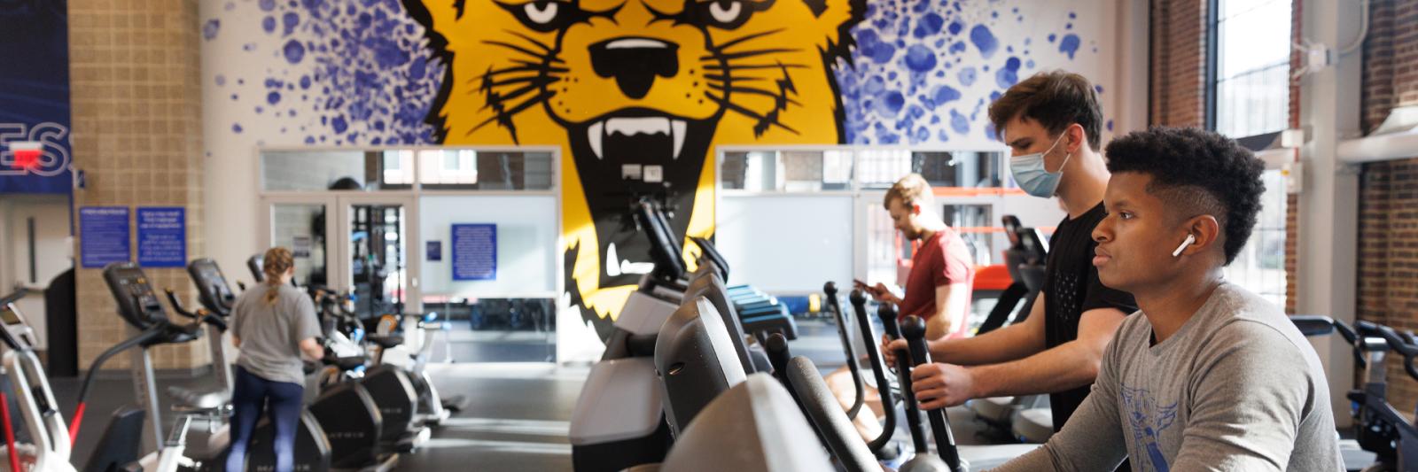 Image of students on exercise equipment in the gym, with a large mural of the UK wildcat in the background