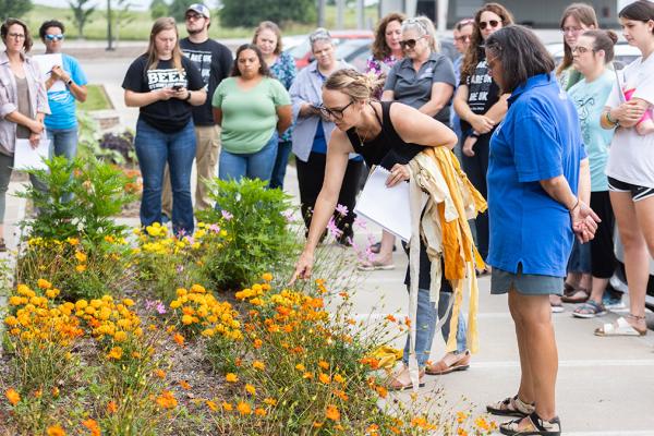 Crystal Gregory bending over a field of marigolds, instructing a group of onlookers during the dye garden demonstration.