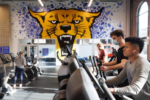 Image of students on exercise equipment in the gym, with a large mural of the UK wildcat in the background