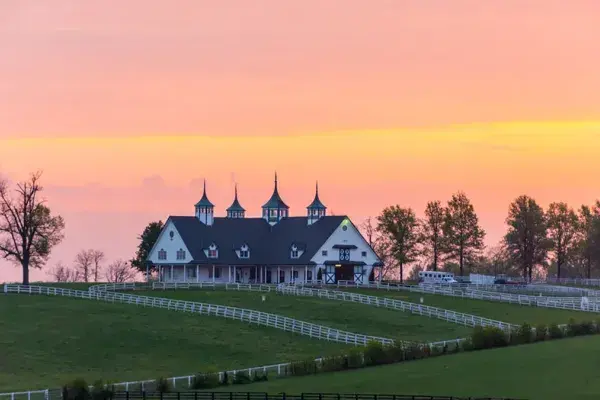 kentucky horse farm