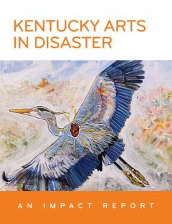 disaster report cover featuring bird flying