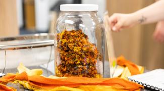 Jar of dried flowers on a table collected during dye workshop