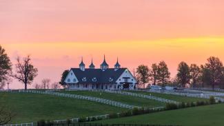 kentucky horse farm