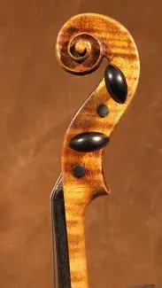 close up of violin