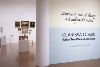 Art Museum Exhibition Title wall and gallery space