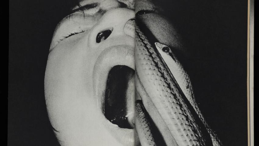 Self and Others: Japanese Photography after 1968 | College