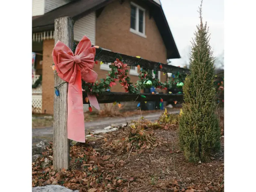 Photograph of a fence with christmas bow and decorations on it.