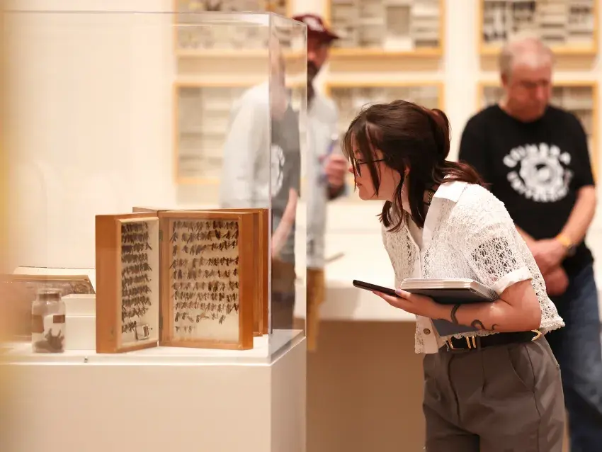"Visitor examines museum artifact display case."