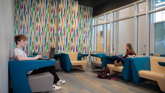 students working in room with colorful wallpaper