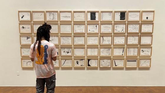 person looking at gallery wall