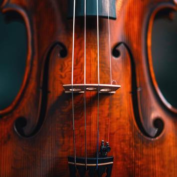 close-up of violin on dark background