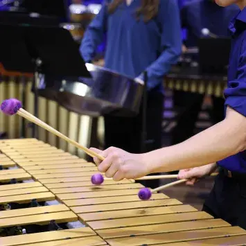 close up of person playing xylophone with purple mallets