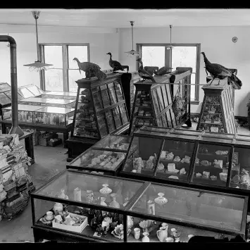 Black and white photograph of the inside of University of Kentucky Libraries, Special Collections Research Center; University of Kentucky Glass Plate Negative Collection